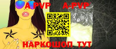 дмт Кингисепп