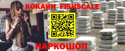 дмт Кингисепп