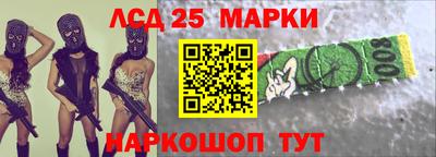дмт Кингисепп
