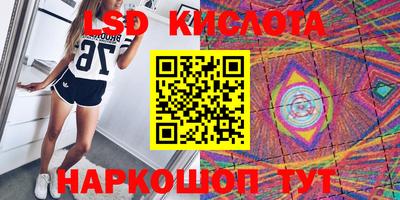 дмт Кингисепп