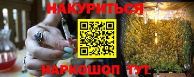 дмт Кингисепп