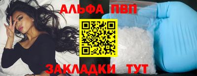 дмт Кингисепп