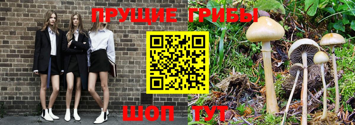 Галлюциногенные грибы мицелий Кизилюрт