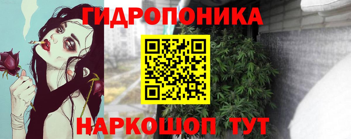 Канабис MAZAR Кизилюрт